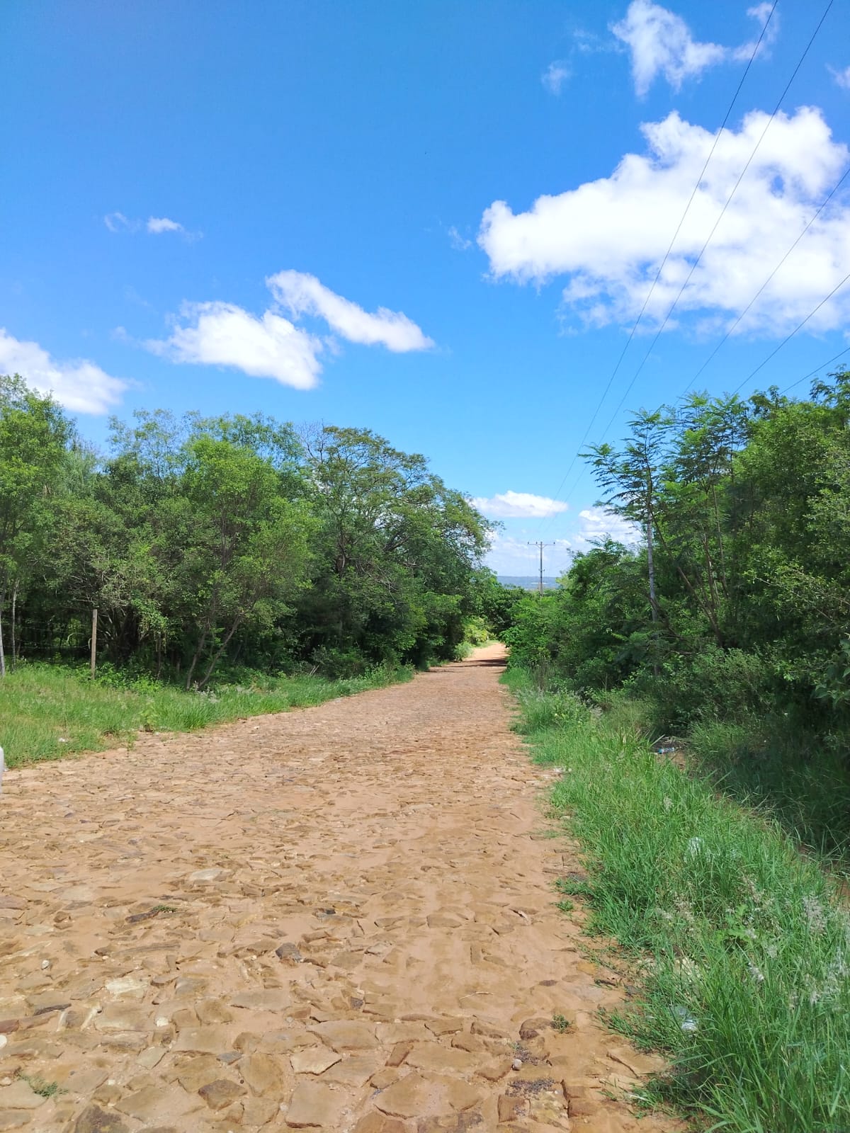 EN VENTA AMPLIO TERRENO EN SAN BERNARDINO, PIRAYU’I — foto 3