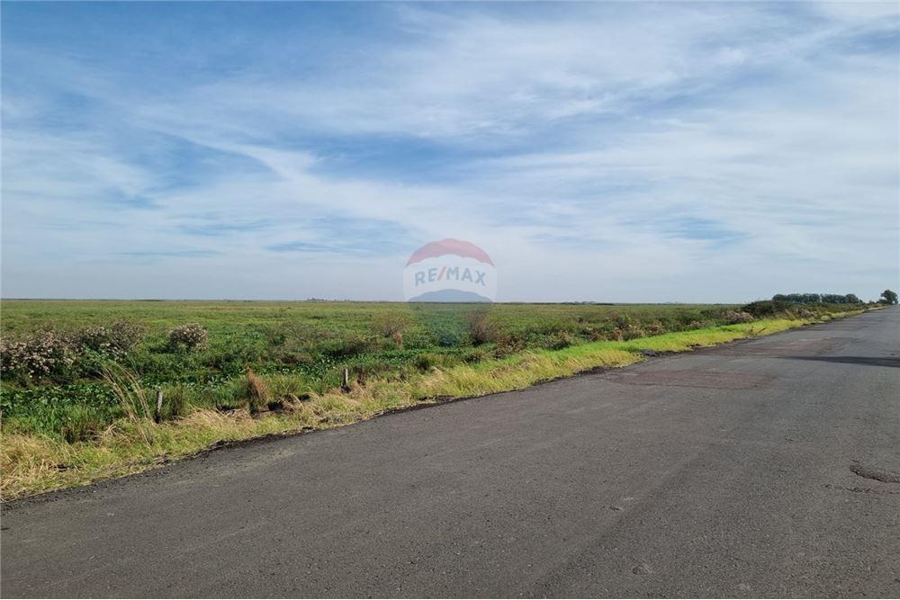 EN VENTA CAMPO DE 540 HAS. EN JUAN DE MENA — foto 2