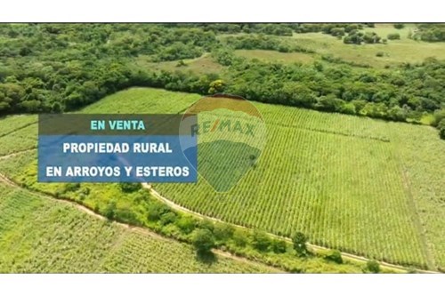 Terreno-Venta-PY Cordillera Arroyos Y Esteros ruta elizardo — foto 3