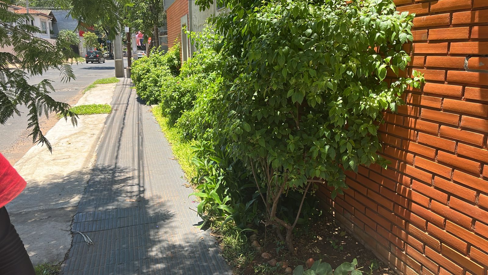 Alquilo Amplia Casa Con Buen Estacionamiento . Ideal Para Local Comercial — foto 3