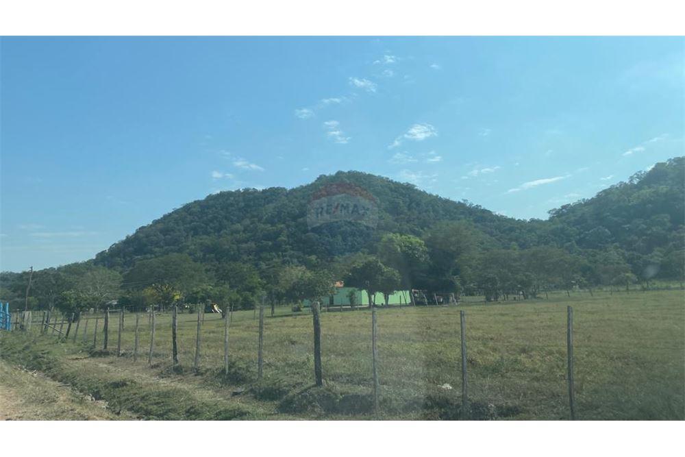 Estancia formada apta para desarrollo agro ganadero — foto 2