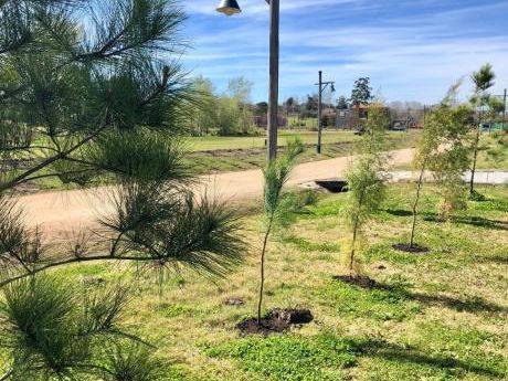 Estrena Destacada Residencia En VIñedos De La Tahona