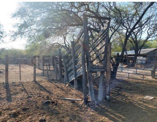 VENTA DE ESTANCIA – CHACO PARAGUAYO — foto 3