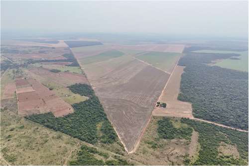 VENDO FINCA  AGRICOLA EN SAN PEDRO CAPIIBARY — foto 2