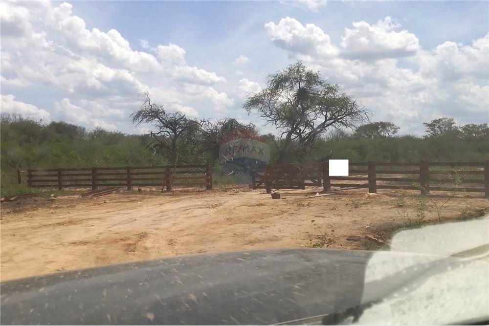 VENDO CAMPO EN BOQUERON ZONA FRONTERA CON ARGENTINA 8.141 HAS — foto 2