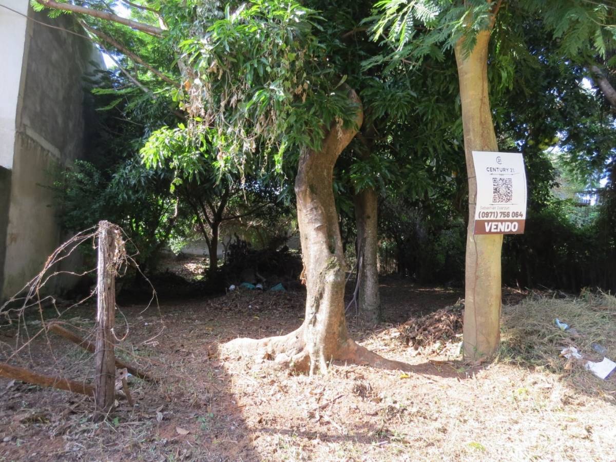 Terreno en Barrio Cerrado La Floresta – Oportunidad única en Luque — foto 3