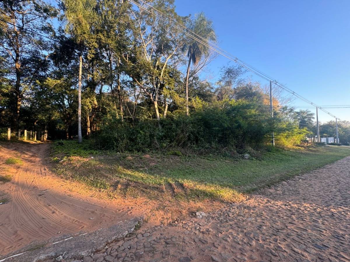 VENTA DE TERRENO EN SAN BERNARDINO — foto 2