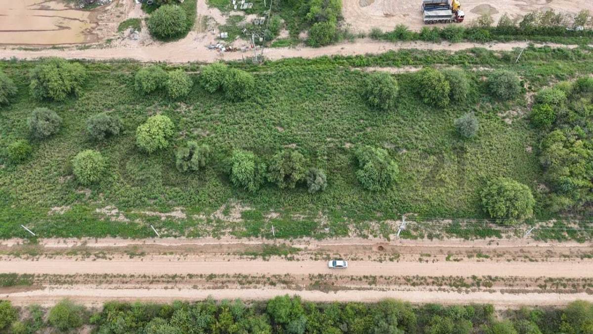 Terreno en venta en Filadelfia — foto 2
