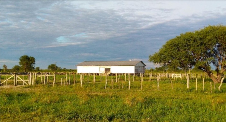 Vendo Establecimiento Rural de 7.200 Hectáreas en Carmelo Peralta - CLCS6763167 — foto 3
