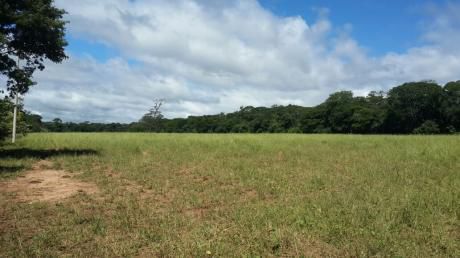 Hermosa Propiedad Agricola-ganadera En Cabezas