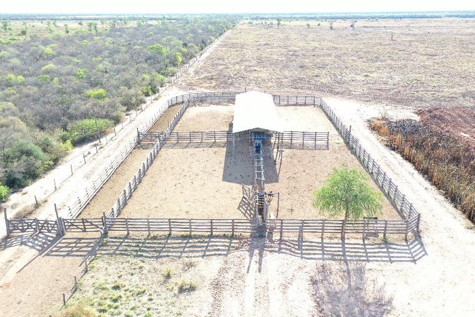 Vendo Campo de 1.761 Hectáreas, Zona Fortín Florida - CLCS7939074 — foto 3