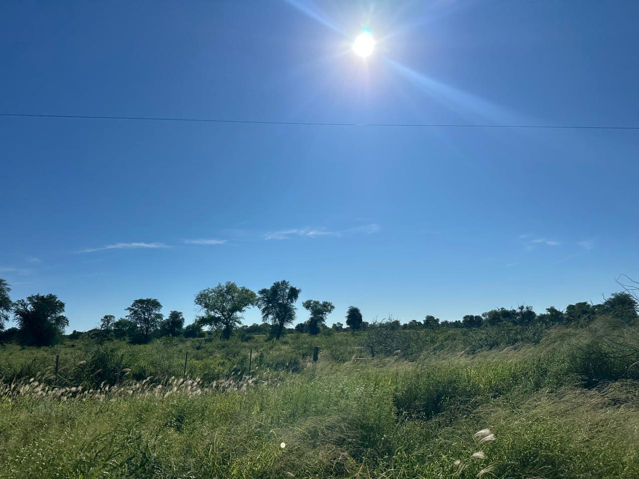 Vendo Estancia Agrícola de 7.974 Hectáreas en Zona Pirizal - CLCS8176611 — foto 3