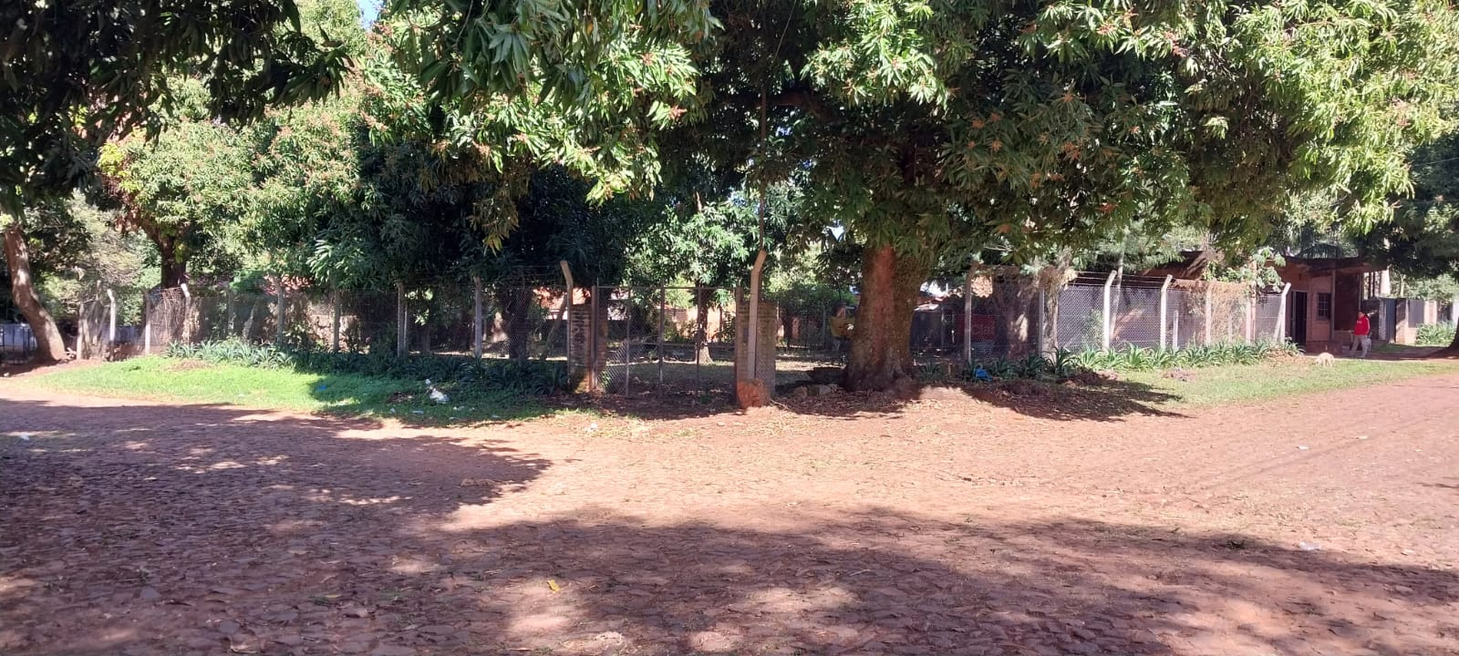 ALQUILER DE TERRENO EN LUQUE — foto 2