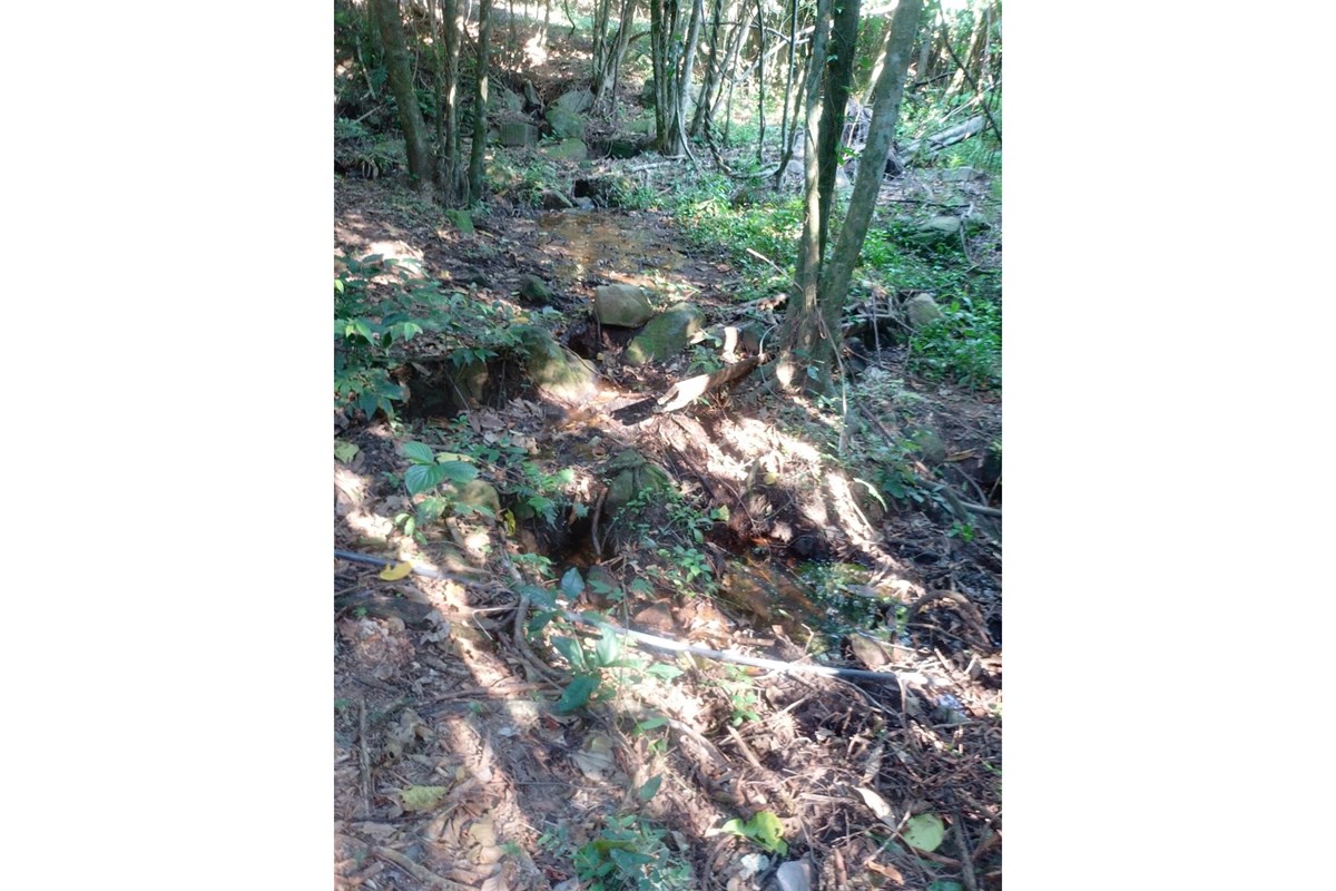 Terreno-Venta-PY 18, La Colmena, Paraguarí — foto 2