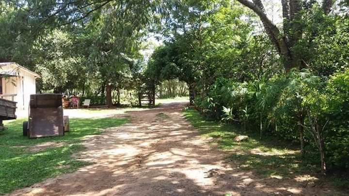 Campo en venta en San Miguel — foto 2