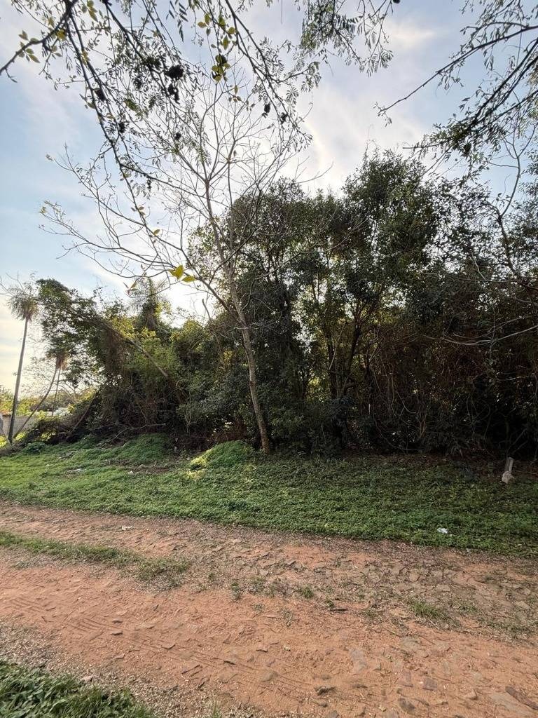 Vendo terreno en San Bernardino — foto 3