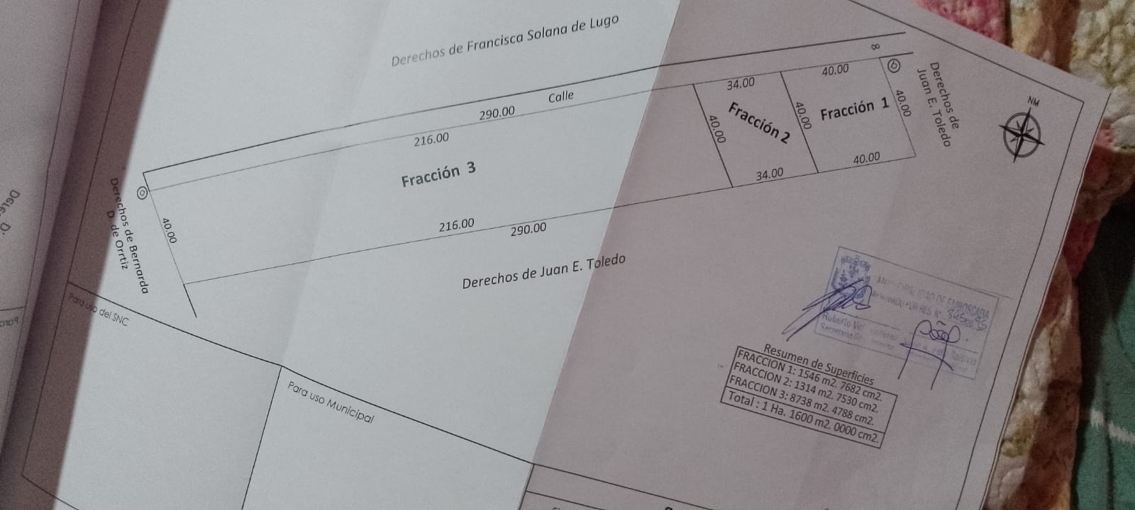 Terreno en venta en Emboscada — foto 2