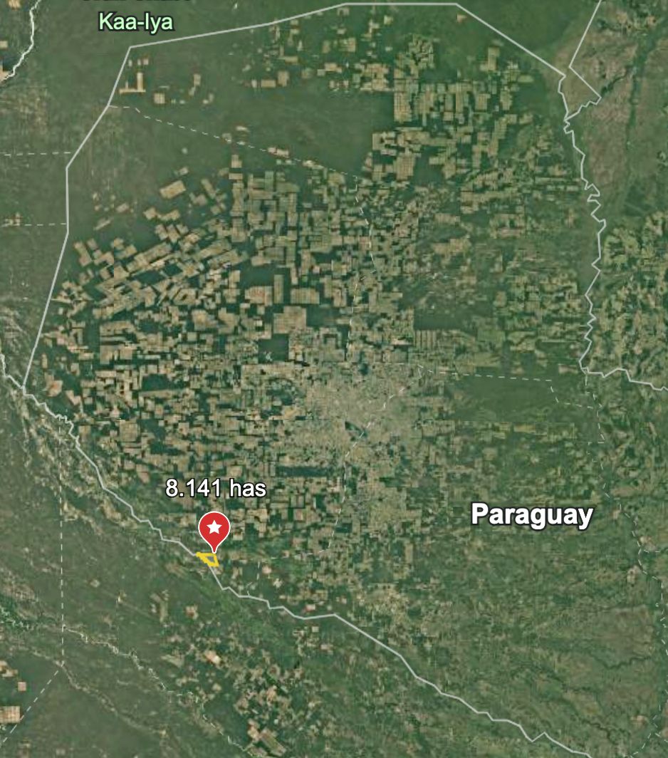 Vendo Campo de 8.141 Hectáreas en Boquerón, Sobre el Río Pilcomayo - CLCS7650799 — foto 2