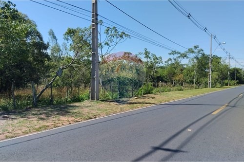 TERRENO EN NUEVA COLOMBIA — foto 2