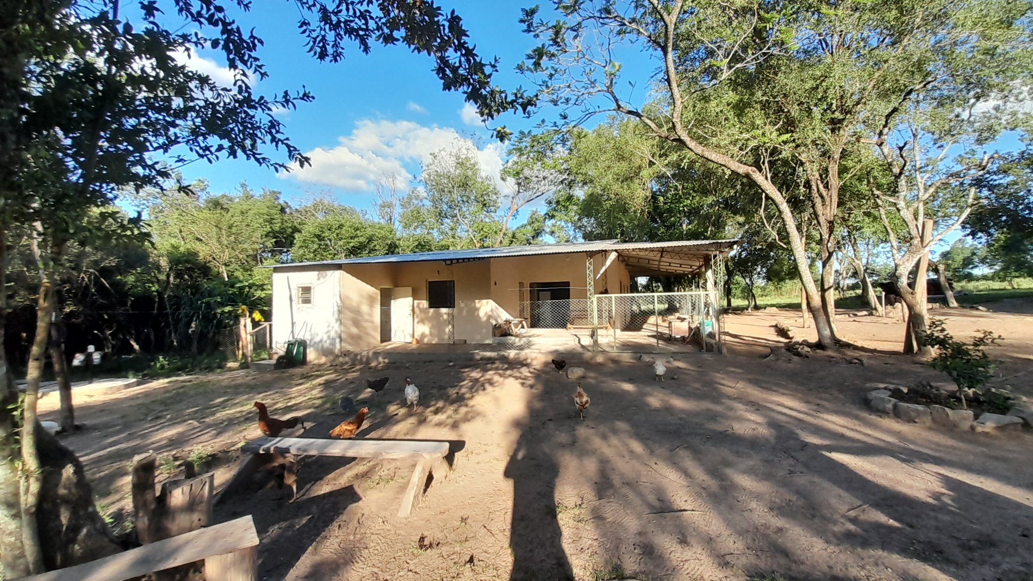 OFERTA - Granja Formada  75 Ha Gs. 35mill X Ha. Caaguazu Ri3 Corrales A 1km Del Asfalto — foto 3