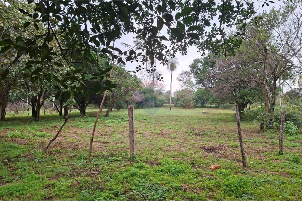 Vendo Amplio Terreno en San Bernardino — foto 2