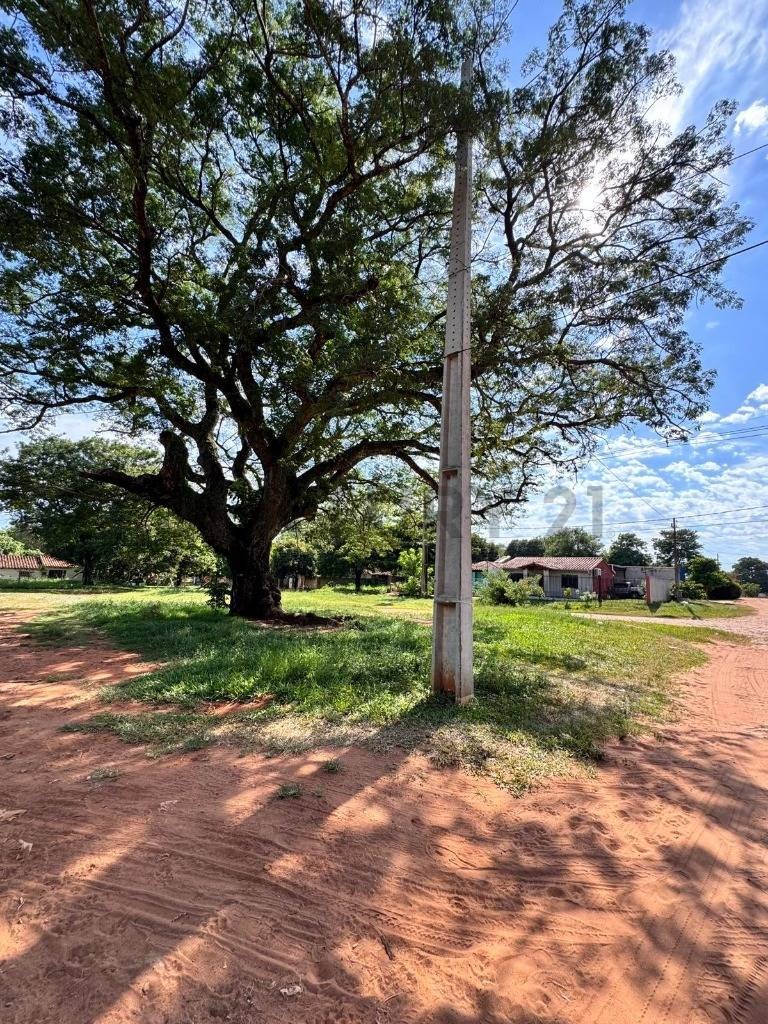 Terreno en venta en Luque — foto 3