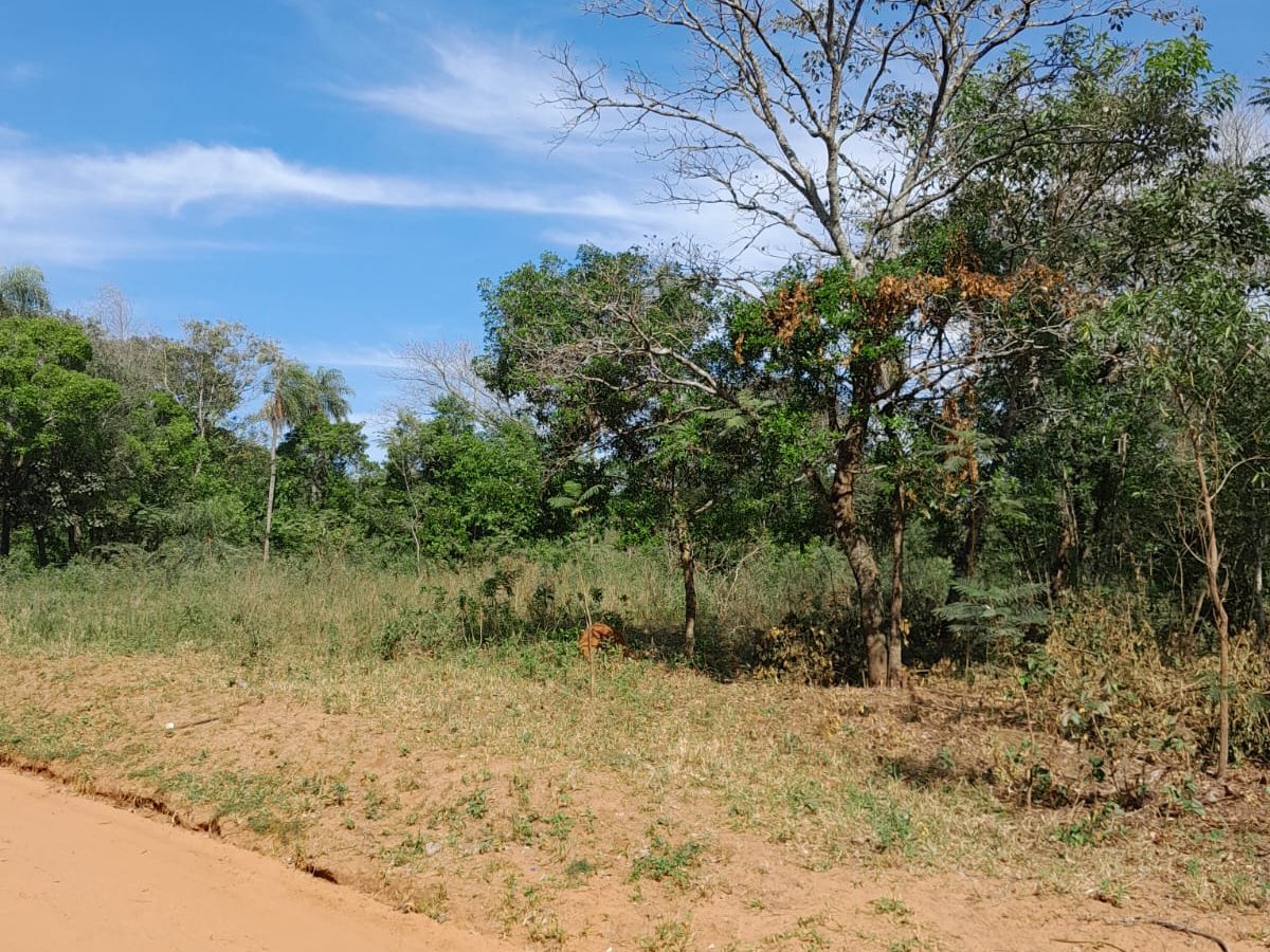 VENDO TERRENO EN ALTOS — foto 3