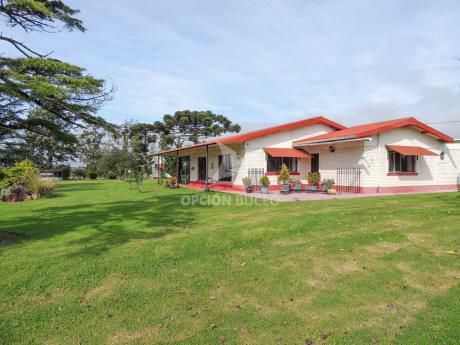 Chacra A La Venta En Carrasco De Sauce