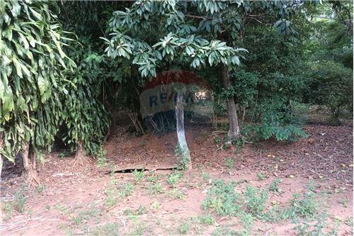 TERRENO EN VENTA, CAACUPE — foto 3
