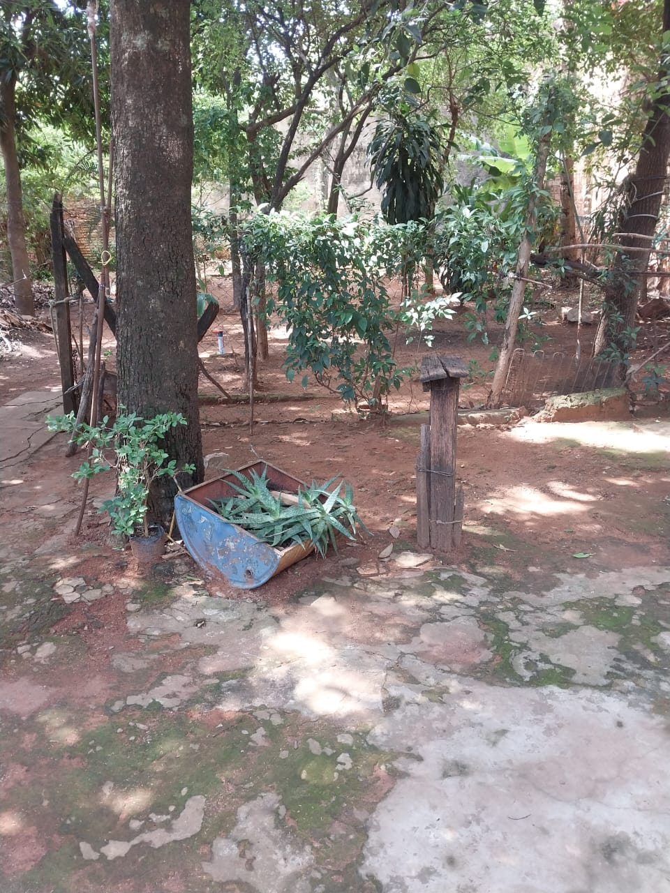 ¡OPORTUNIDAD! TERRENO EN VENTA EN LUQUE – ZONA MOLINO — foto 2