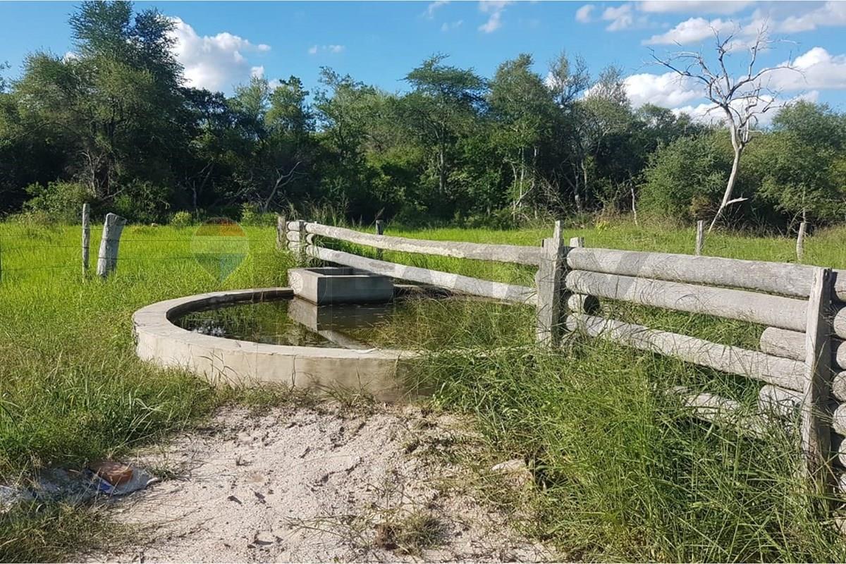 Campo virgen Chaco Paraguayo puerto piñasco — foto 3