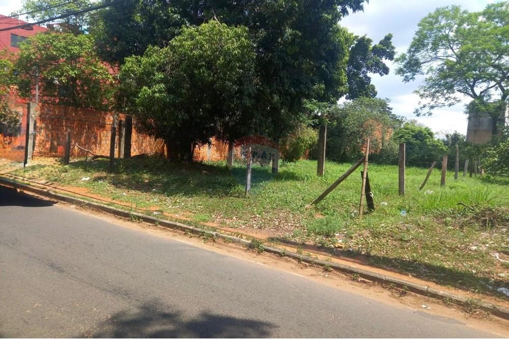 VENDO TERRENO EN SAN LORENZO SOBRE MOISES BERTONI — foto 3