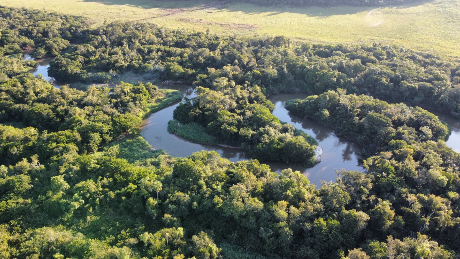 Campo Productivo de 1.001 ha — foto 2