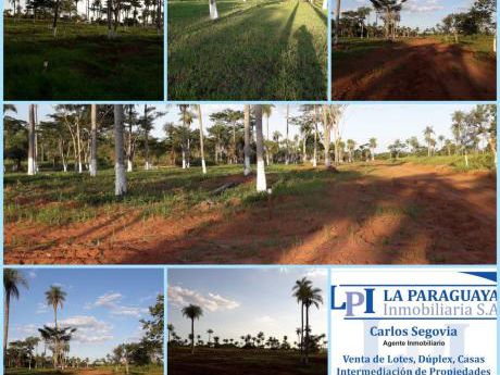 Vendo Hermoso Terreno En Itagua
