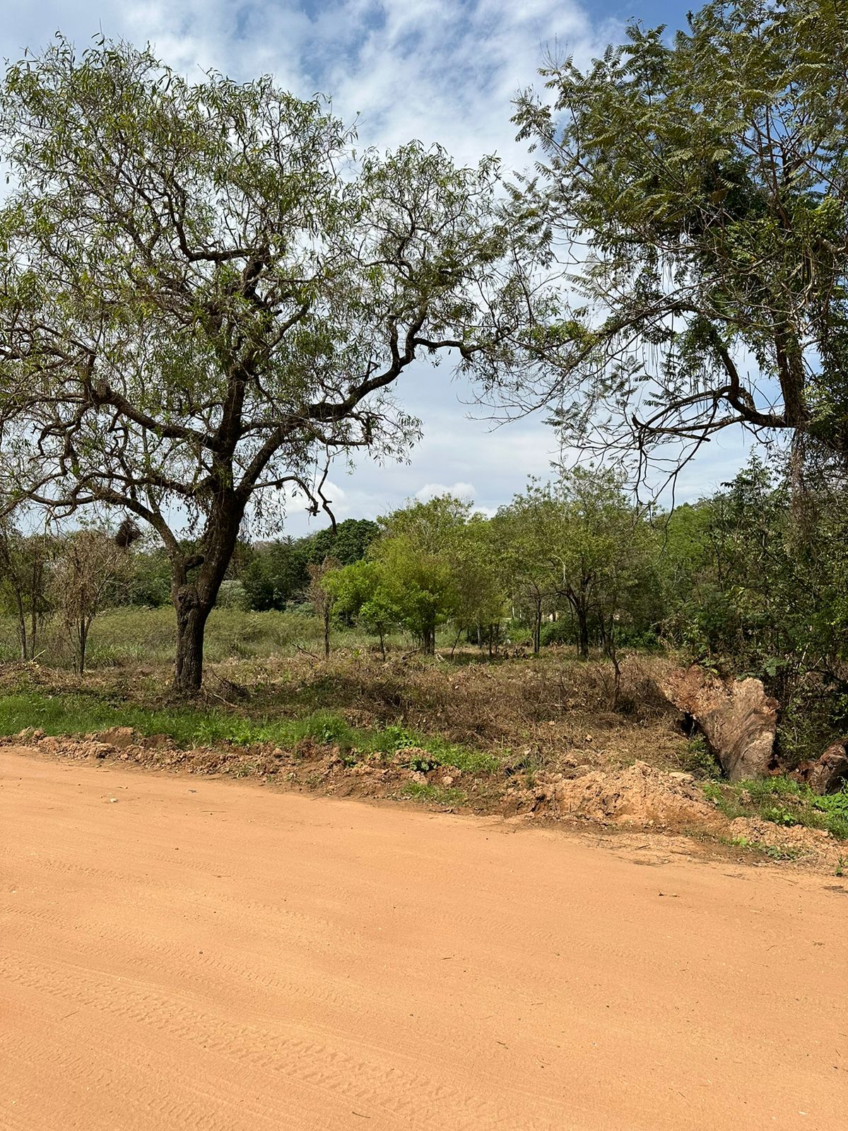 Vendo amplio terreno en San Bernardino - Barrio Yvu — foto 2