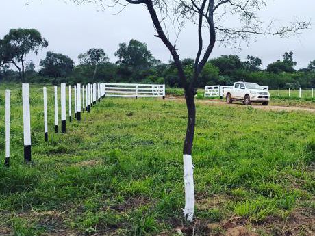 Barbero Agronegocios Vende 3 Cruces