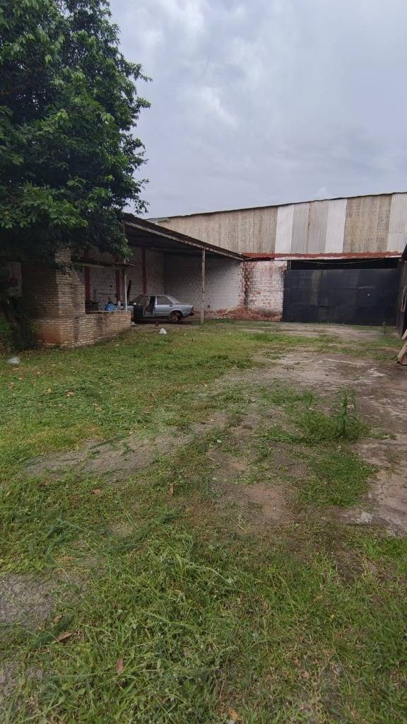 TINGLADO EN ALQUILER EN LIMPIO — foto 3