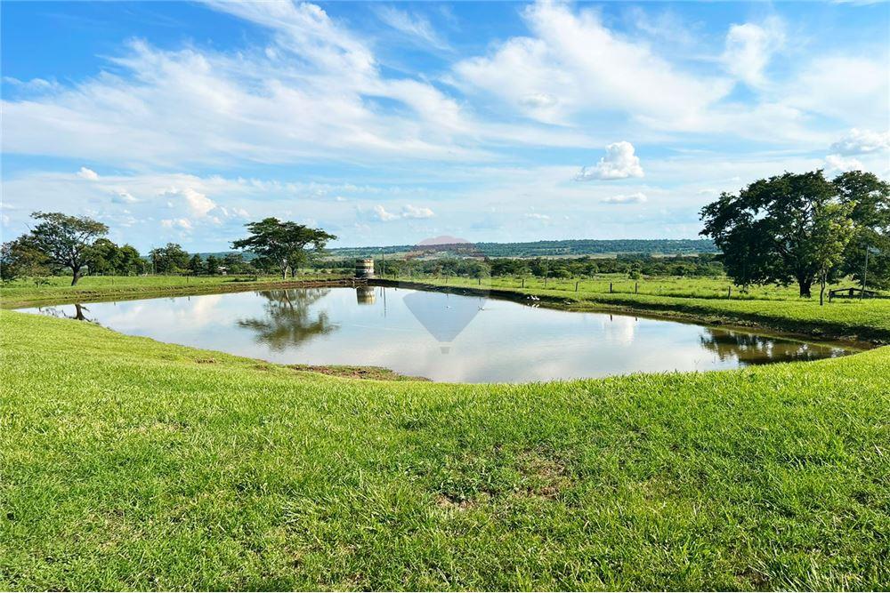 ESTANCIA 100 HAS EN YBYCUI  OFERTA ÚNICA VENTA ESTANCIA — foto 3