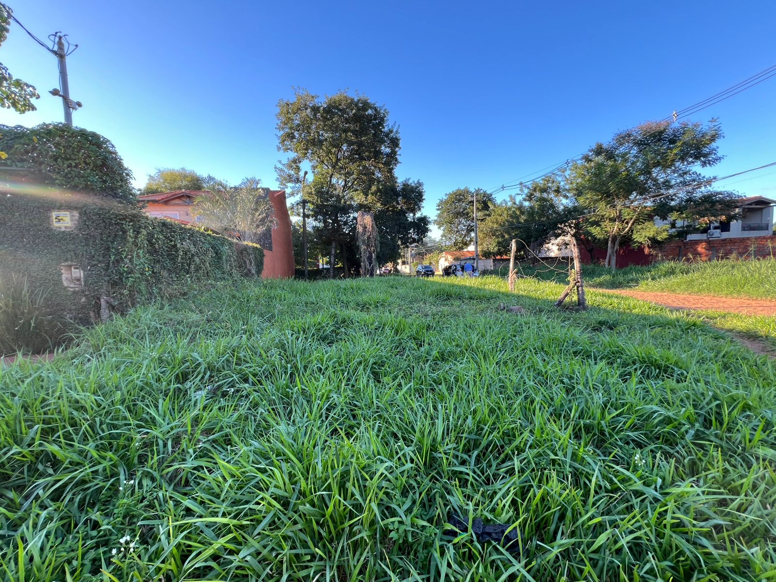 VENDO TERRENO EN ESQUINA (Luque) — foto 2