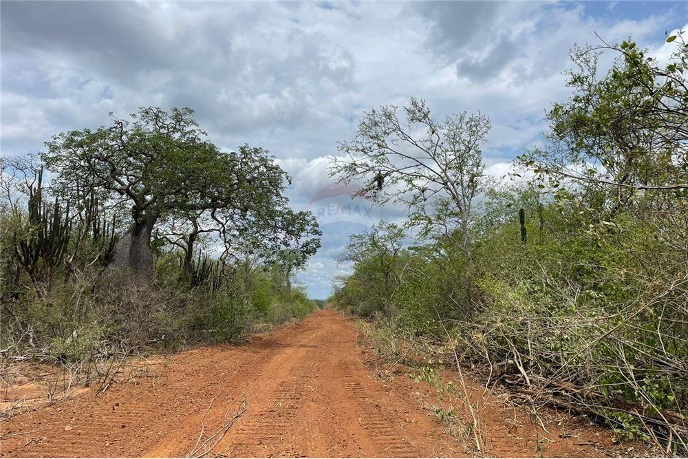 VENDO AMPLIO CAMPO EN EL CHACO ZONA LAGERENZA — foto 2
