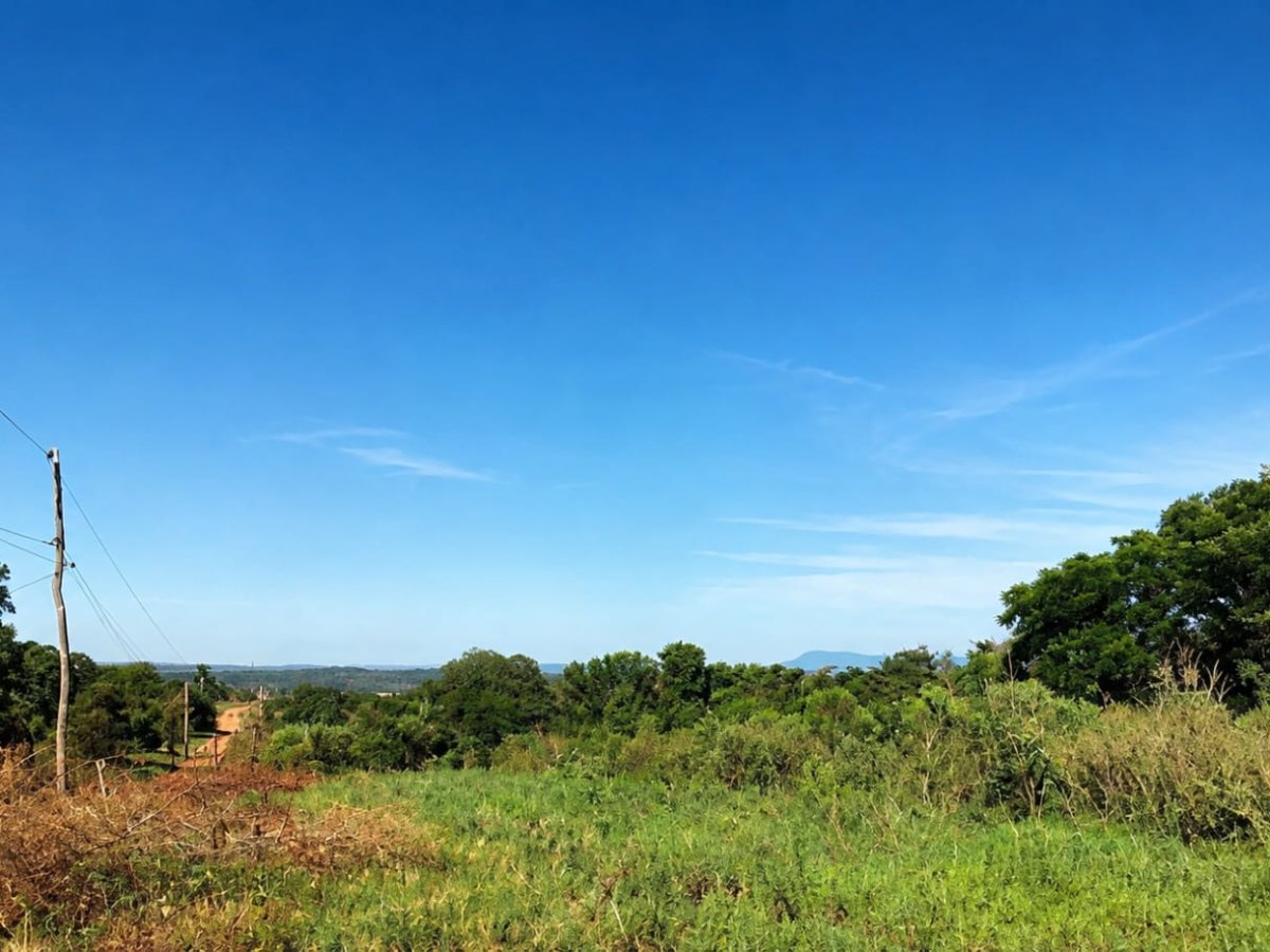 VENDO CAMPO EN LA CIUDAD DE ABAI - 19 HECTAREAS — foto 2