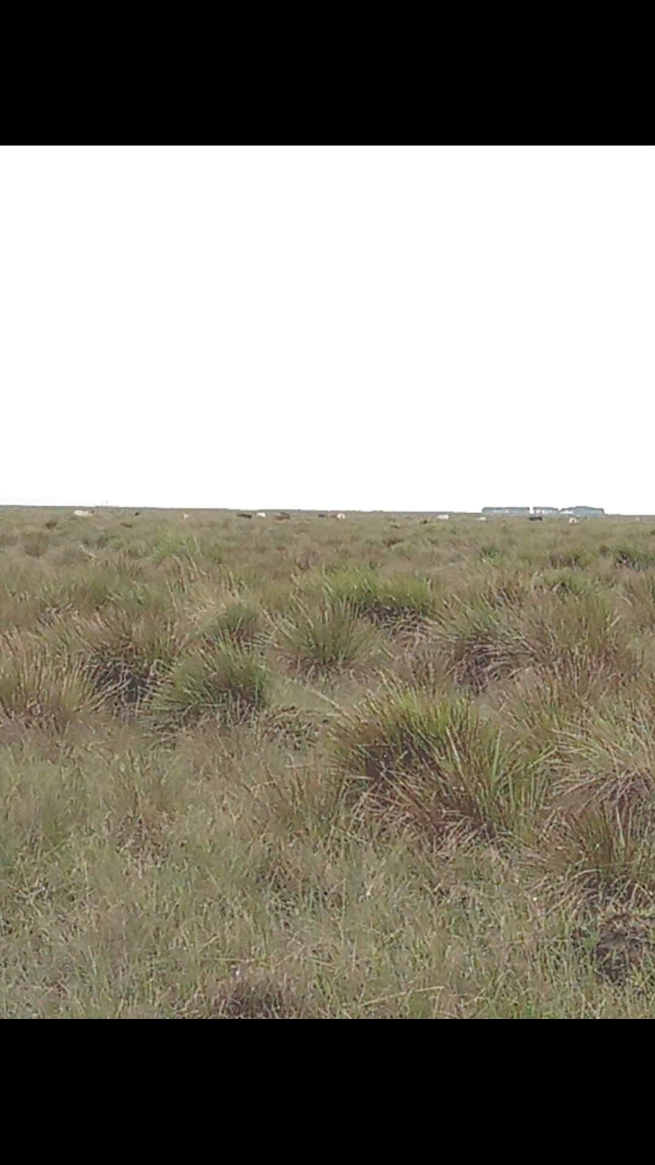Propiedad rural — foto 2