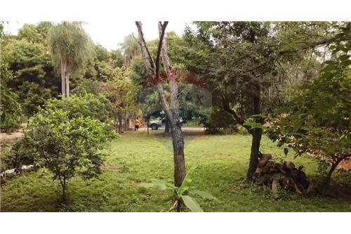 Terreno - Venta - Paraguay Cordillera San Bernardino — foto 3
