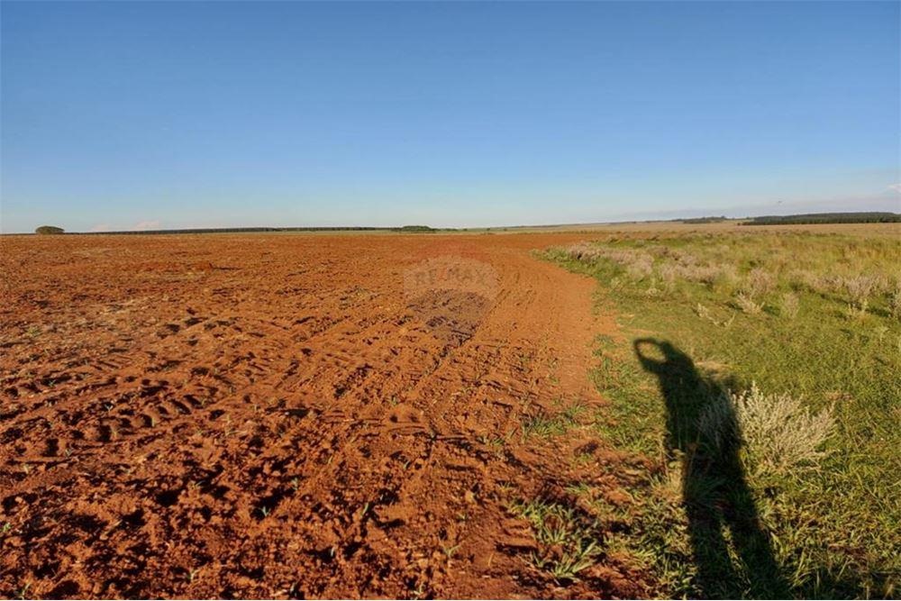 VENDO CAMPO DESARROLLADO LIMITE PARAGUAY Y ARGENTINA — foto 3