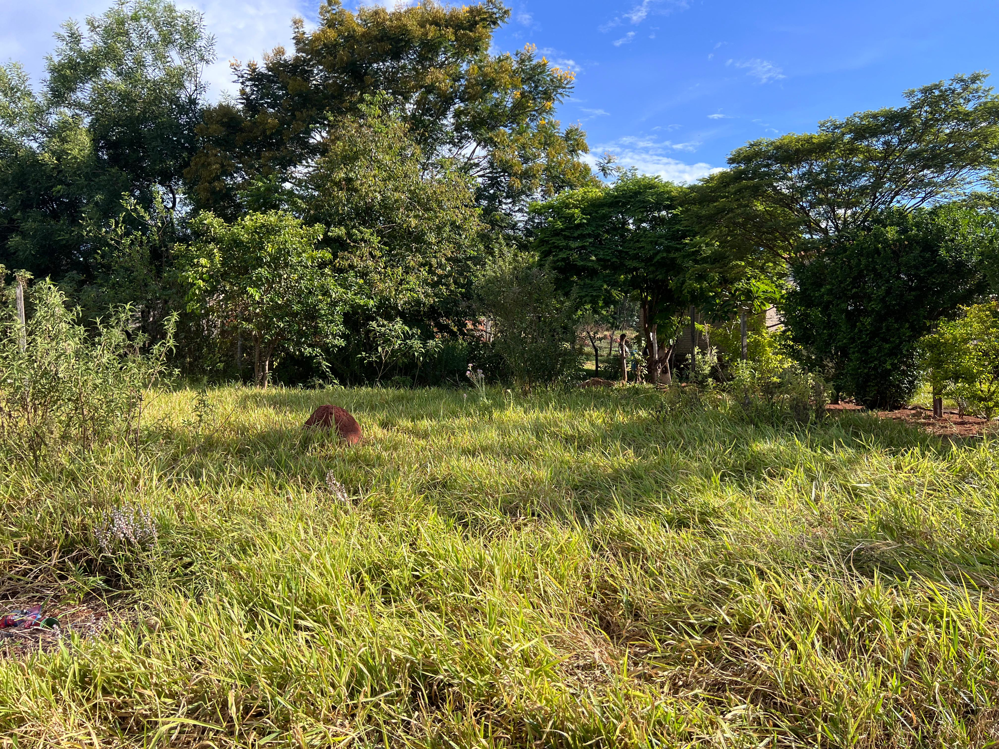 Terreno Caacupe Las Colinas A Dos Cuadras De La Nueva Circunvalacion — foto 2