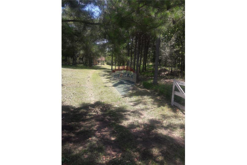 Terreno en venta en Santísima Trinidad, Asunción — foto 3