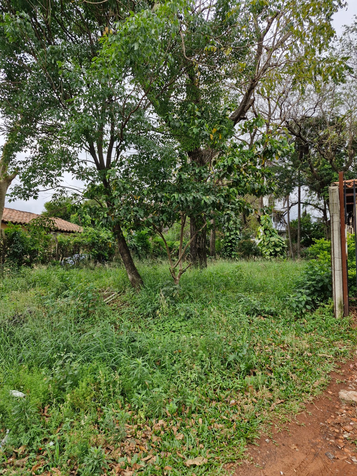 TERRENO EN VENTA | VILLA ELISA* - foto 4