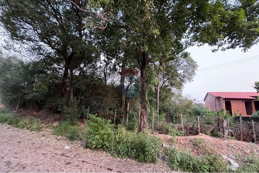 Terreno Ideal en Luque — foto 3