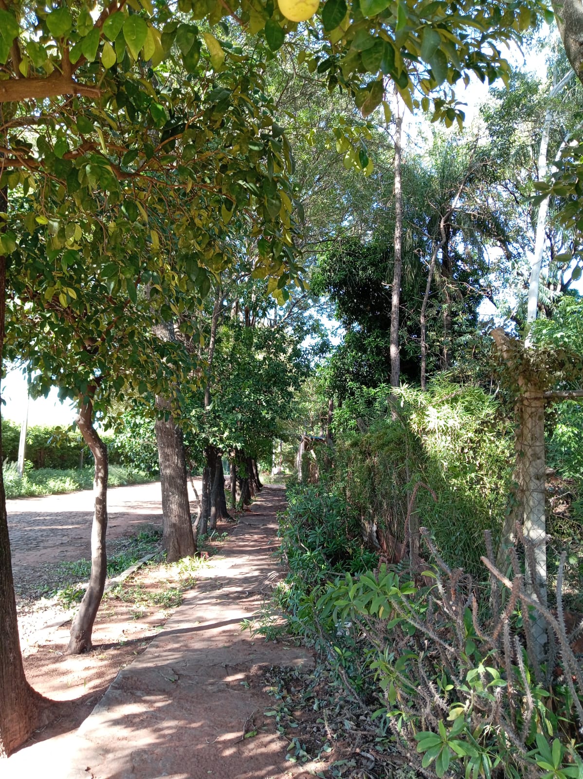 Casa-Alquiler-Centro, Villa Elisa, Central — photo 2