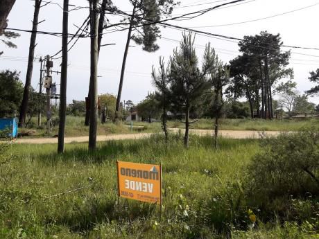 Terreno Sobre Avenida